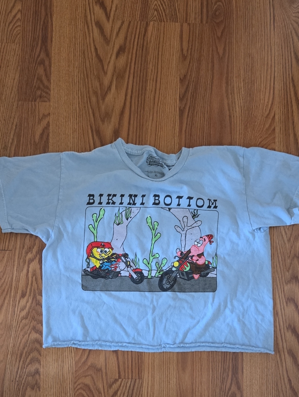 Light Blue 'Bikini Bottom' Crop Top